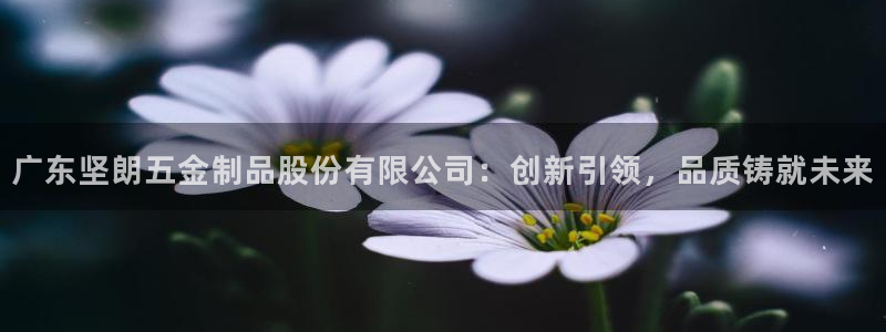 琳琅娱乐APP下载