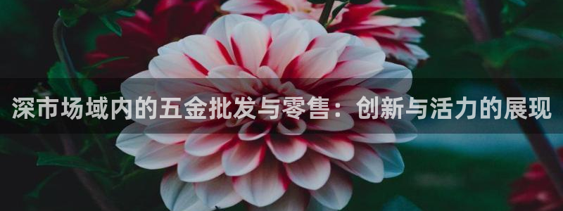 琳琅科技娱乐机器人插件