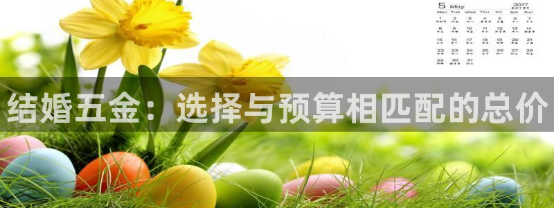 娱乐从琳琅榜开始的小说