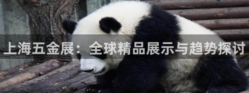 琳琅娱乐 全麦优质