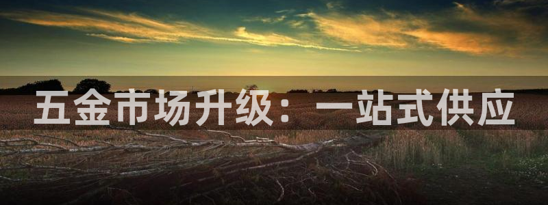 琳琅科技娱乐机器人