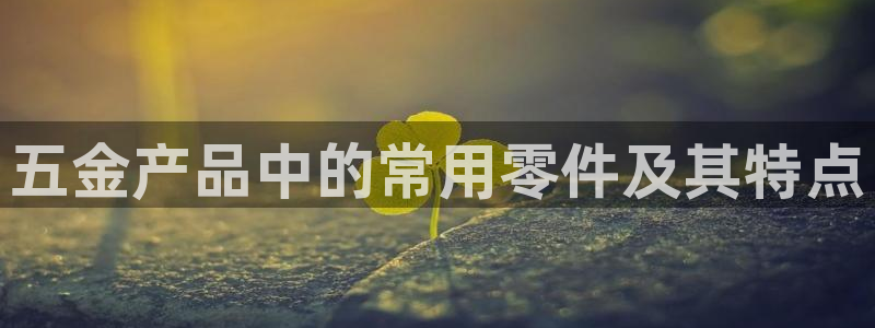 琳琅娱乐工作室招聘信息