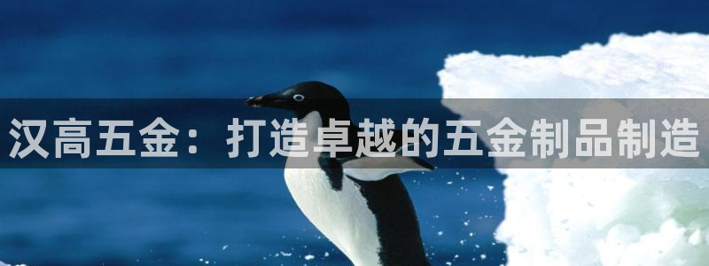 琳琅娱乐在哪直播