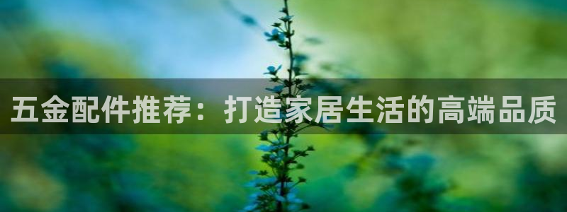 琳琅娱乐网