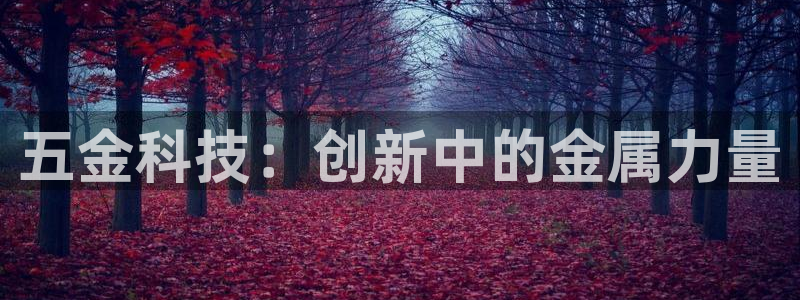 琳琅娱乐 全麦优质