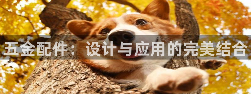 琳琅娱乐代理怎么做的