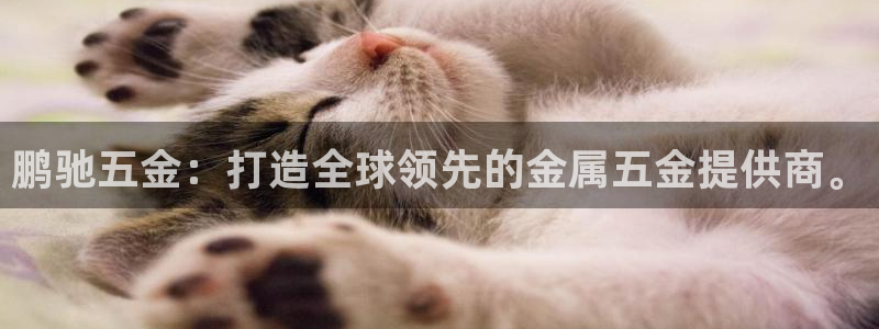 琳琅娱乐平台帐7O777
