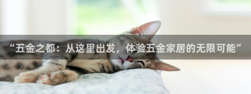 琳琅偏爱娱乐
