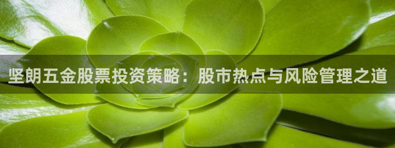 琳琅科技娱乐