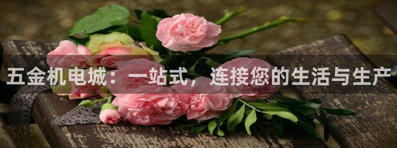 琳琅游戏娱乐