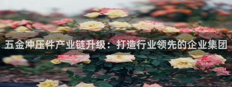 琳琅娱乐是什么