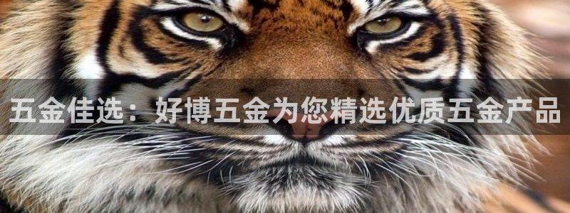 琳琅说娱乐