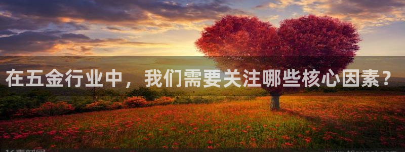 琳琅科技娱乐机器人插件