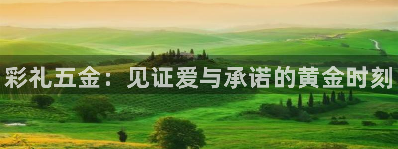 琳琅科技娱乐机器人插件