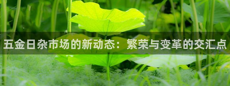 琳琅娱乐平台登陆