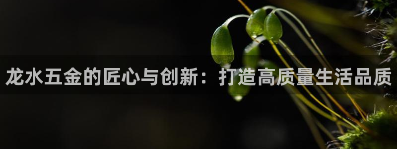 琳琅娱乐代理怎么做的
