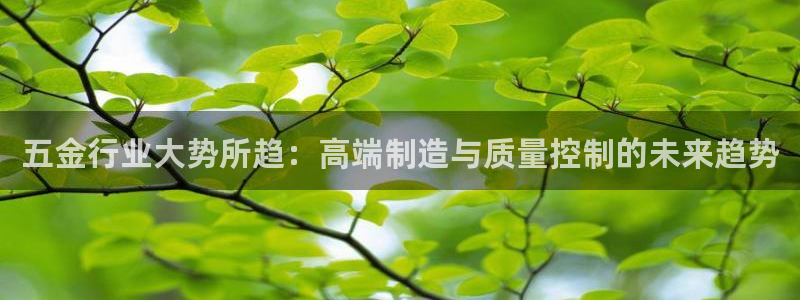 琳琅娱乐挂机