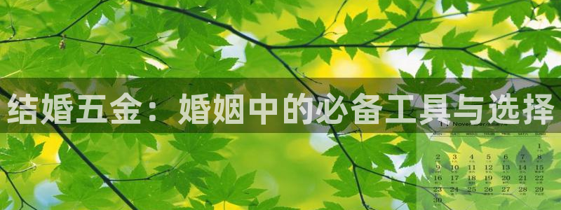 杭州琳琅互动娱乐