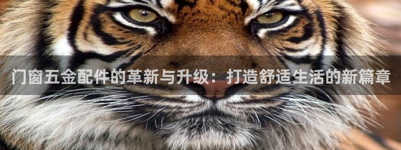 琳琅娱乐主管