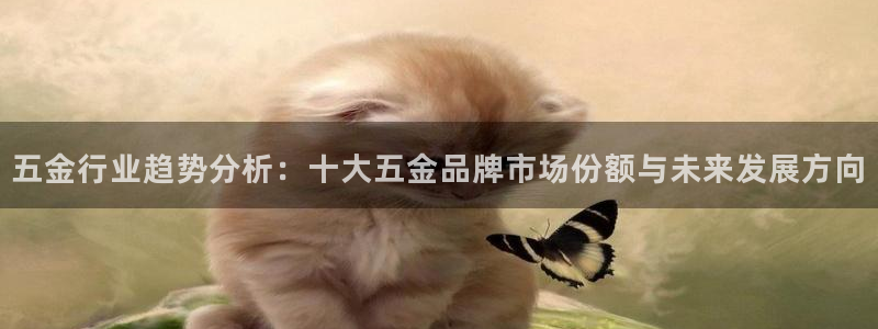 琳琅娱乐工作室招聘