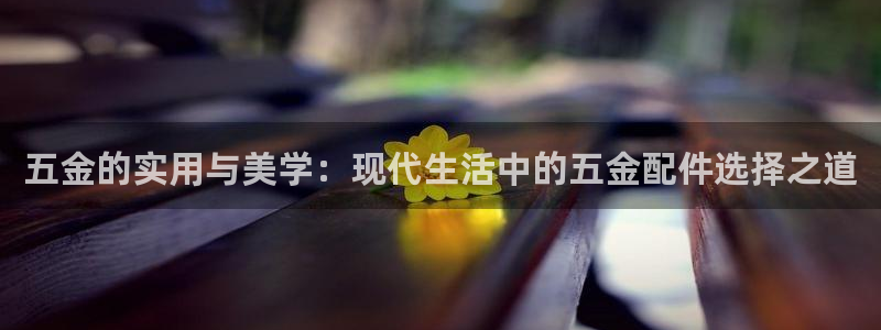 琳琅聊娱乐