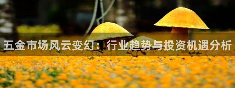 琳琅娱乐登入官网