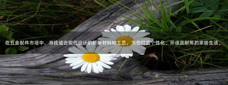 琳琅娱乐在哪直播