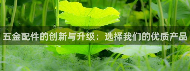 琳琅社区文艺娱乐