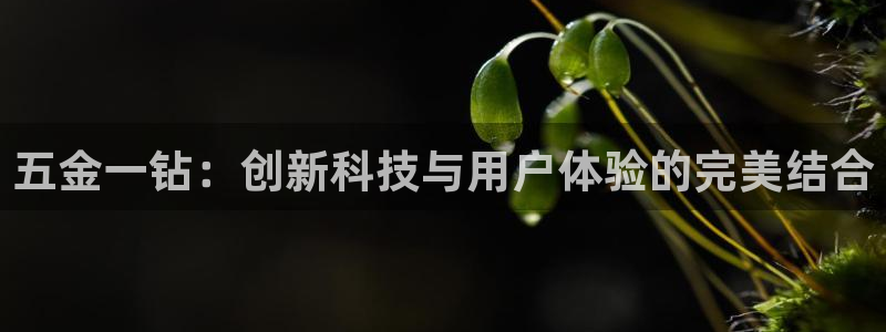 琳琅娱乐平台帐7O777