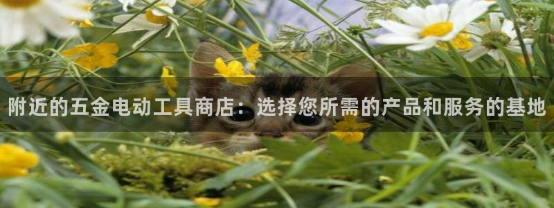 琳琅社区文艺娱乐