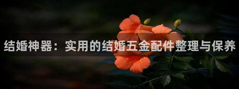 琳琅科技娱乐