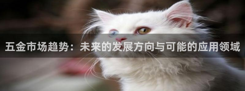 梧州琳琅娱乐城