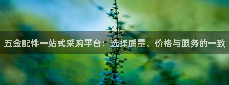 琳琅游戏娱乐