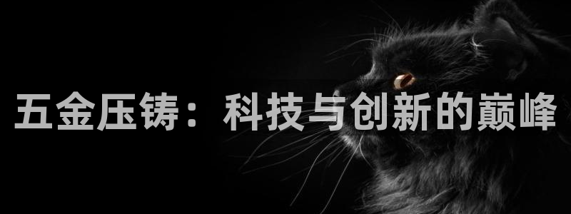 琳琅满目的娱乐设施