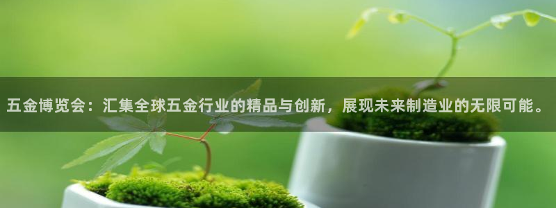 琳琅娱乐a