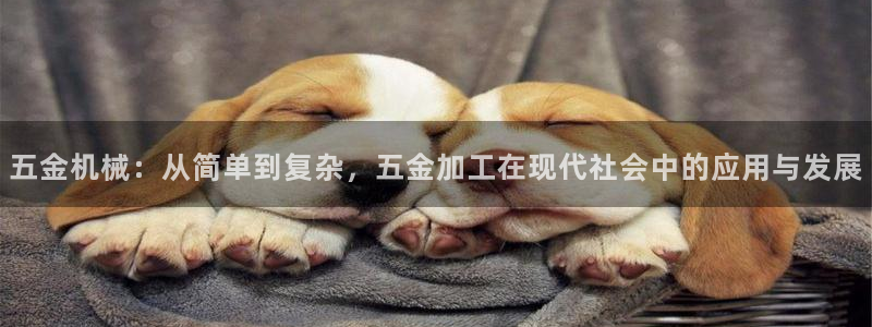 琳琅娱乐园