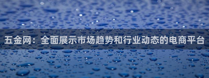娱乐从琳琅榜开始的小说