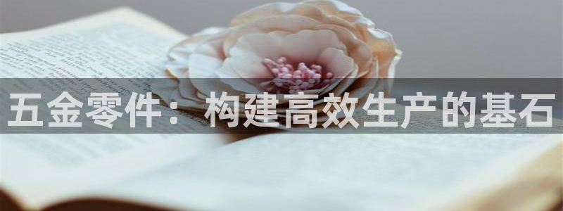 琳琅娱乐平台登陆