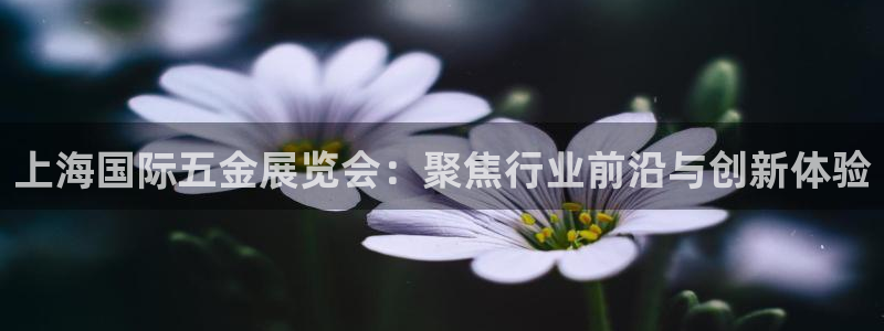 qq琳琅科技娱乐机器人