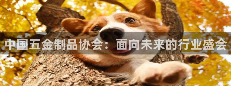 琳琅娱乐放心33300
