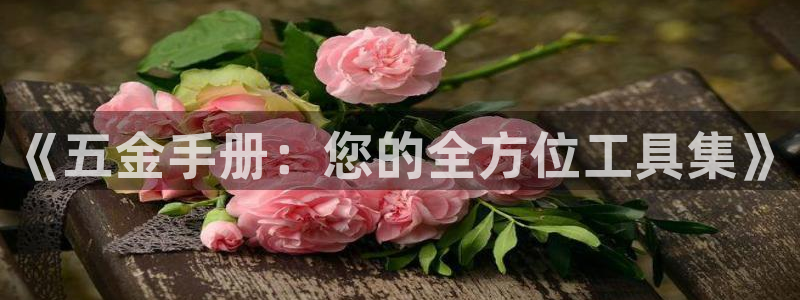 琳琅娱乐工作室怎么样啊