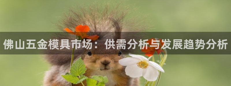 琳琅科技娱乐QQ机器人