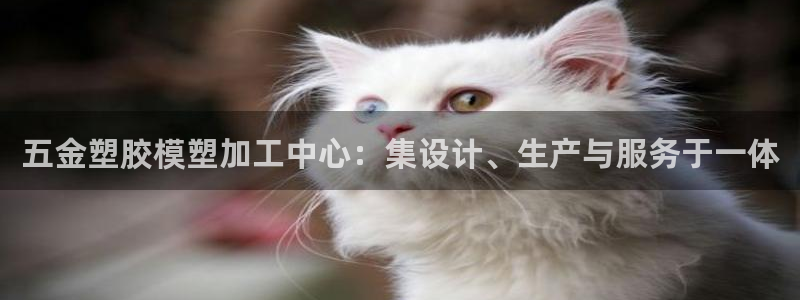 琳琅科技娱乐机器