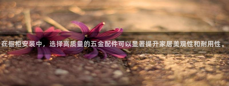 娱乐从琳琅榜开始的小说