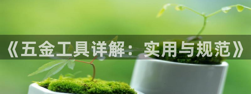 琳琅社区文艺娱乐