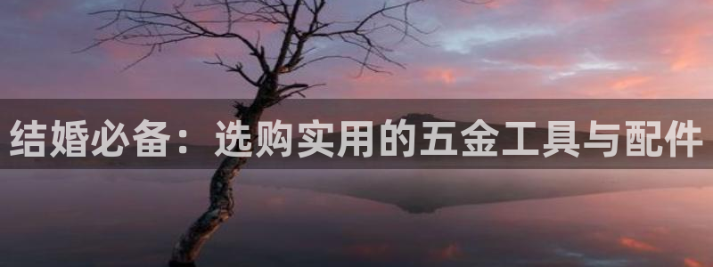 琳琅科技娱乐机器人插件