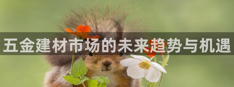 琳琅娱乐社区宅男