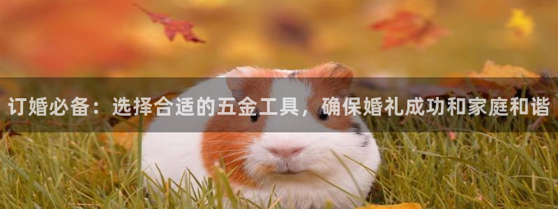 琅琳琅娱乐舍区