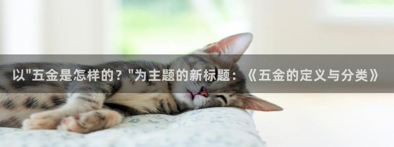 琳琅娱乐机器人