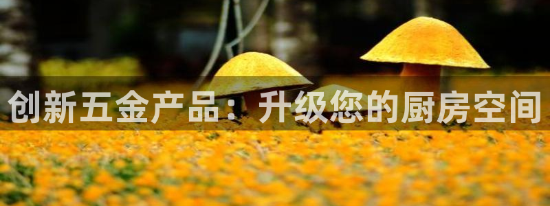 琳琅娱乐在线观看